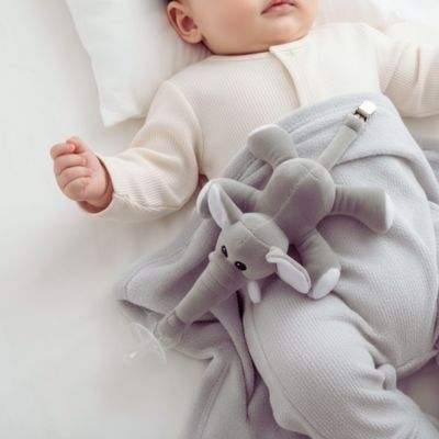Attache tétine peluche Bébé Éléphant | Doudou Clip™ stimulante