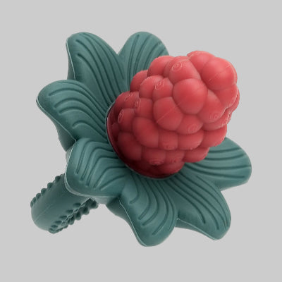 Anneau De Dentition Bébé Silicone | Fleur de Raisin vert-rouge
